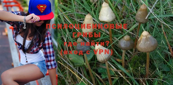 apvp Арсеньев