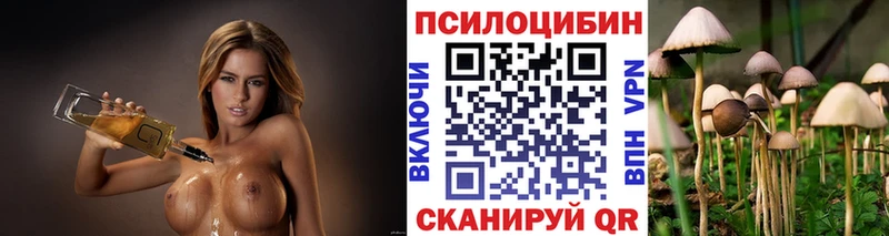 Псилоцибиновые грибы мицелий  кракен tor  Николаевск-на-Амуре  наркота 